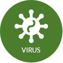 ic_virus